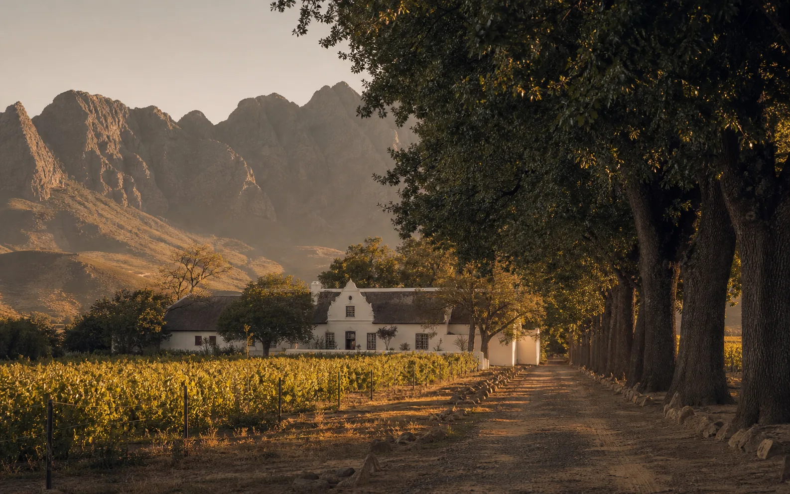Cape Winelands