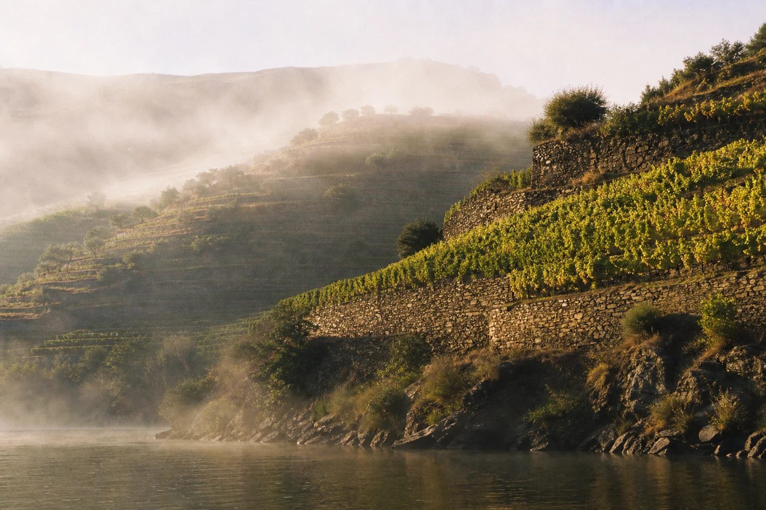 Douro Valley — gallery image 1