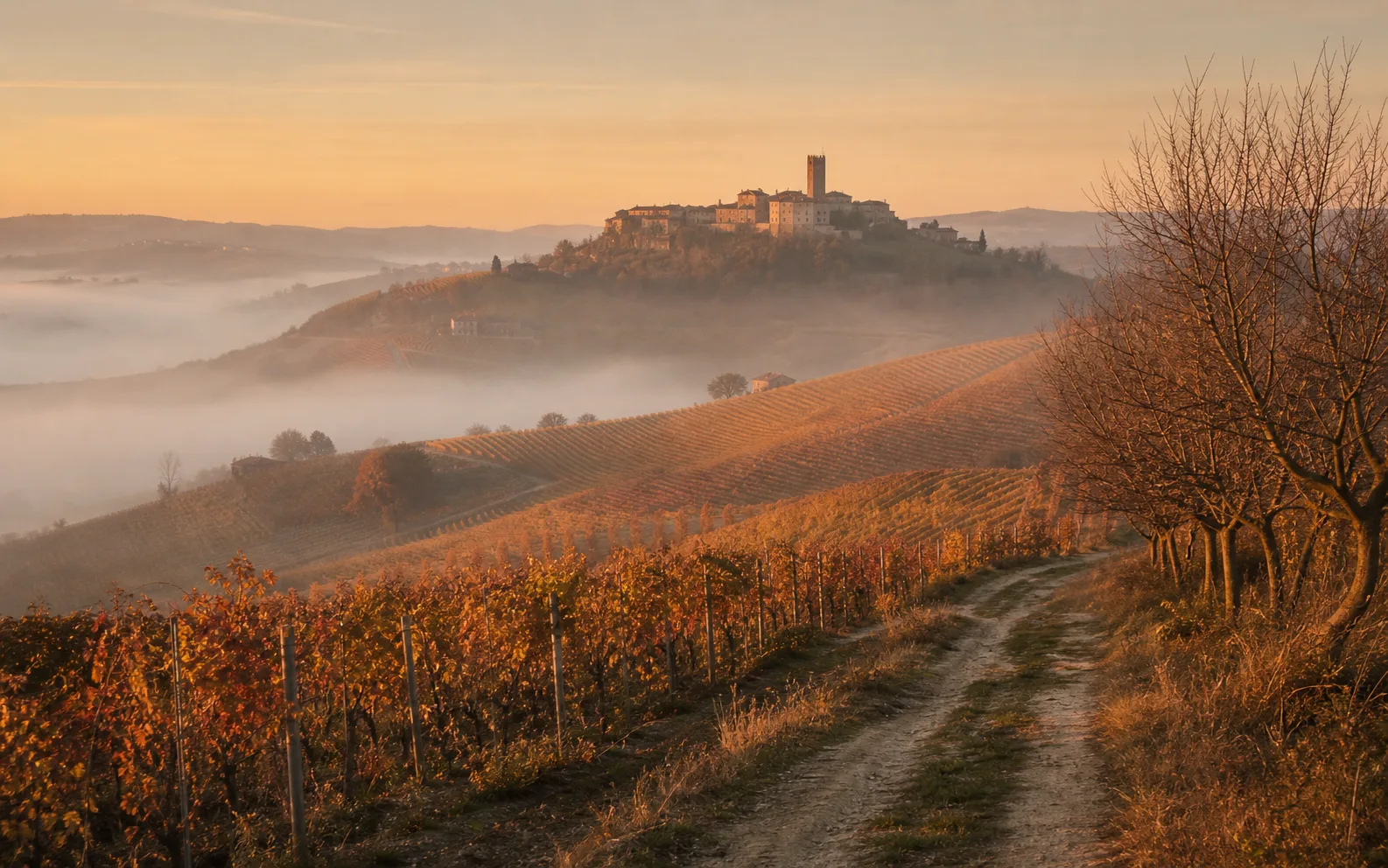 Piedmont & Barolo